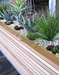 planters